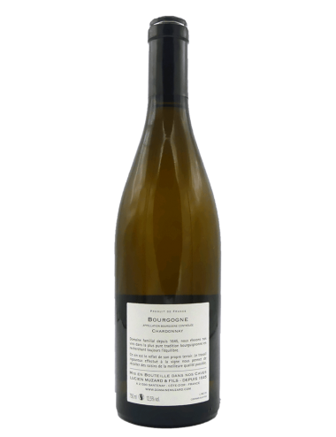 Bourgogne Chardonnay 2022