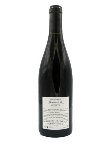 Bourgogne Pinot Noir 2023