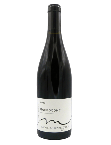 Bourgogne Pinot Noir 2023