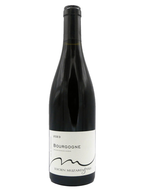 bourgogne-pinot-noir-2023.jpg