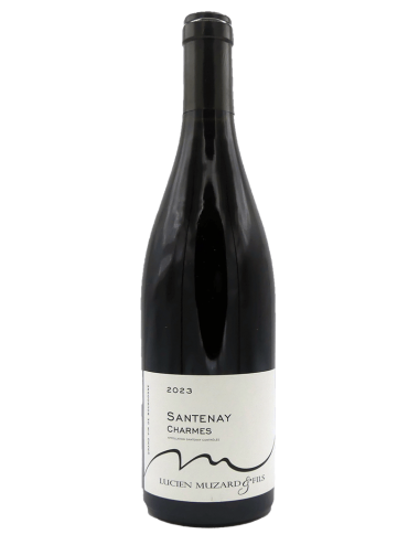 Santenay "Charmes" 2023