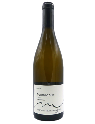 Bourgogne Chardonnay 2022
