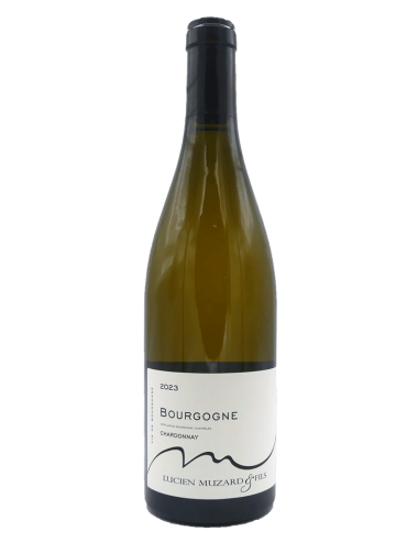 Bourgogne Chardonnay 2023