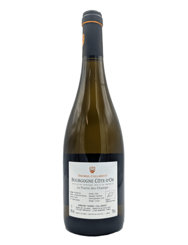 Bourgogne Blanc "La Plante...