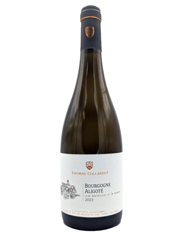 Bourgogne Blanc Aligoté 2023