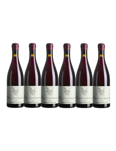 Set of 6 bottles - Rully...