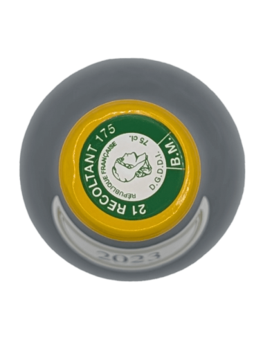 Puligny-Montrachet...