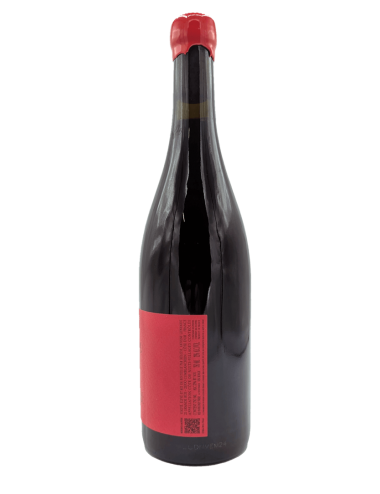 Cote de Nuits Villages...