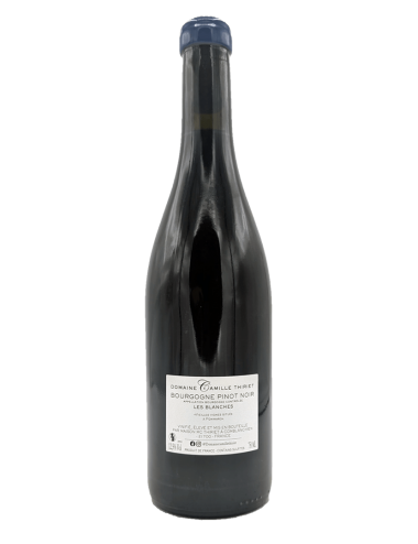 Bourgogne Pinot Noir "Les...