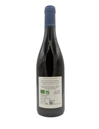 Chassagne-Montrachet...