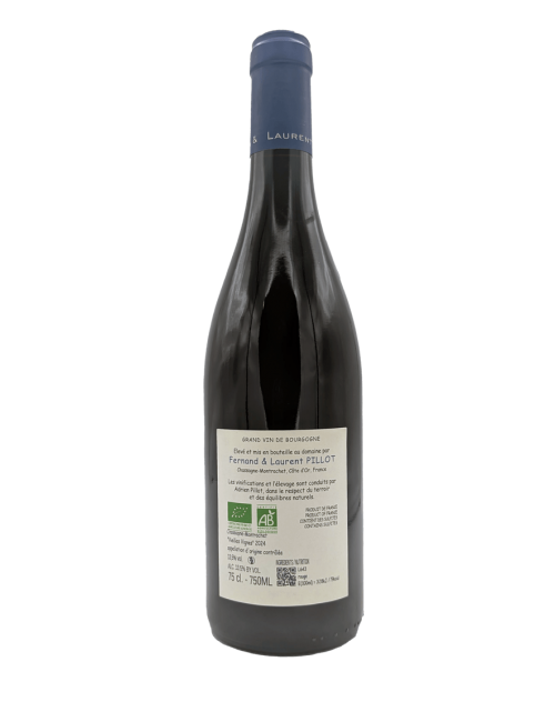 Chassagne-Montrachet...