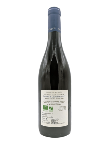 Chassagne-Montrachet...