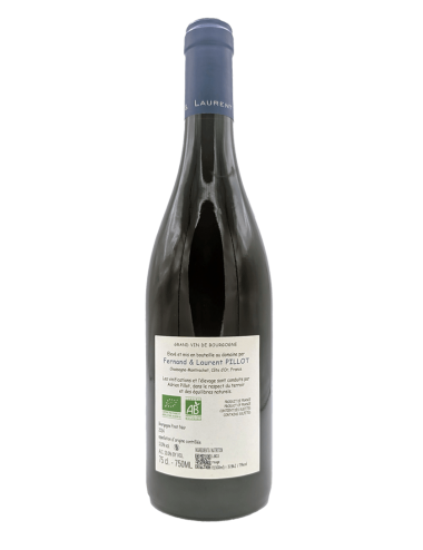 Bourgogne Pinot Noir 2024