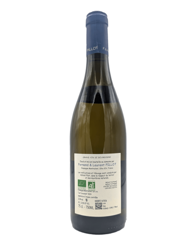 Chassagne-Montrachet...