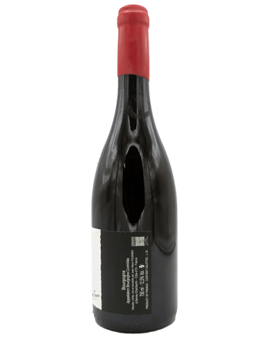 Bourgogne Pinot Noir...