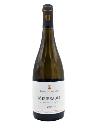 Meursault 2024