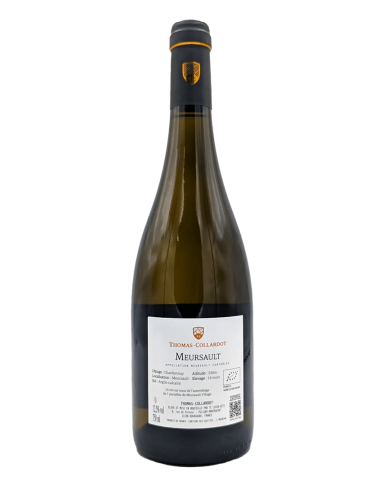 Meursault 2024