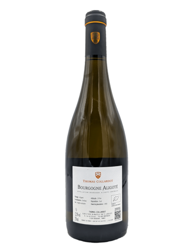 Bourgogne Blanc Aligoté 2024