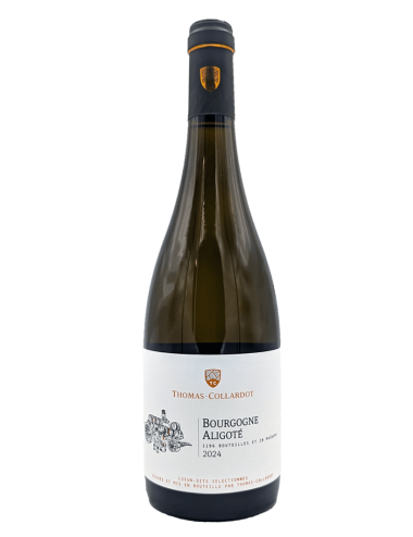 Bourgogne Blanc Aligoté 2024